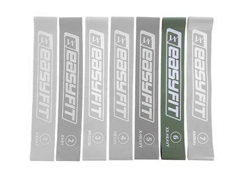 Резинка для фитнеса №6 EasyFit 2123853 фото