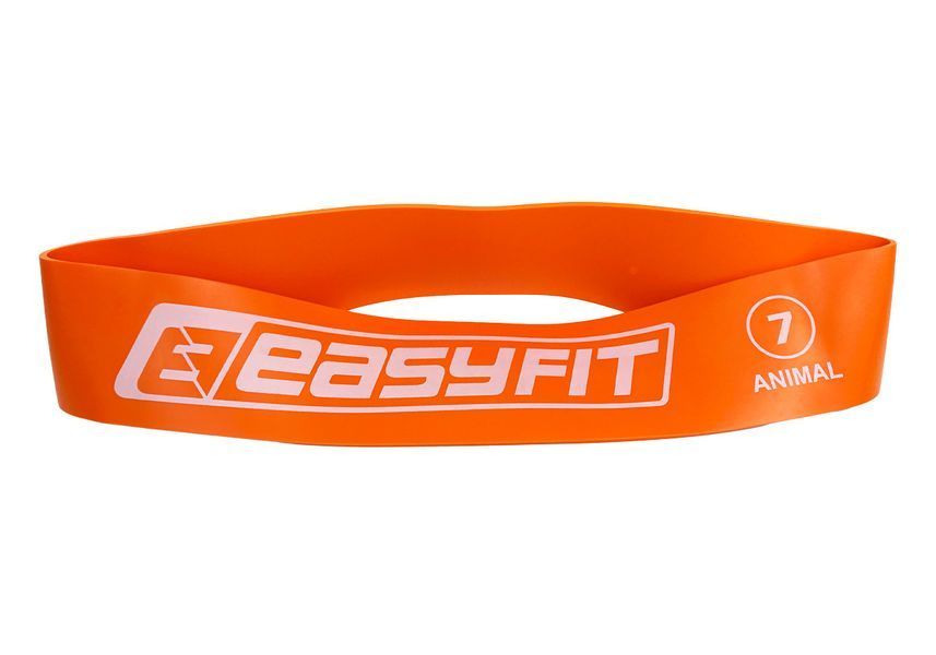 Гумове кільце для фітнесу №7 EasyFit 2123854 фото