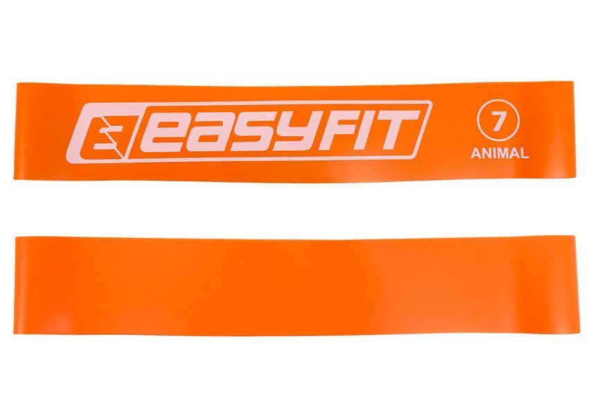 Гумове кільце для фітнесу №7 EasyFit 2123854 фото