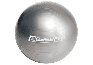 Мяч для фитнеса 65 см серый EasyFit 2124460 фото