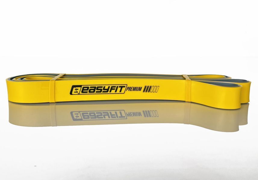 Двошарова резинка для підтягування Premium 16-32 кг EasyFit 2123836 фото