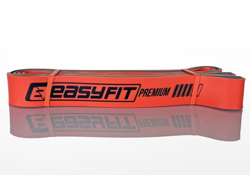 Двошарова резинка для підтягування Premium 25-45 кг EasyFit 2123837 фото